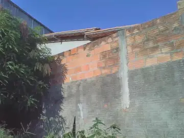 Cam4 Adult Video Chat of BoyPepper