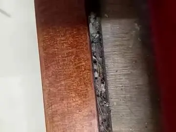 Chaturbate Nude Webcam of tamil_boy_20